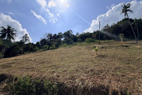 Terrain à Ko Samui, Thaïlande 1117 m2 № 167662 - photo 12