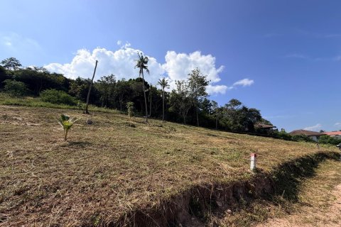 Terrain à Ko Samui, Thaïlande 1117 m2 № 167662 - photo 11