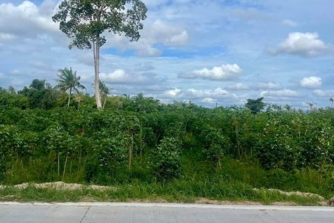 Земельный участок в Паттайе, Таиланд 12800м2  № 147494 - фото 1