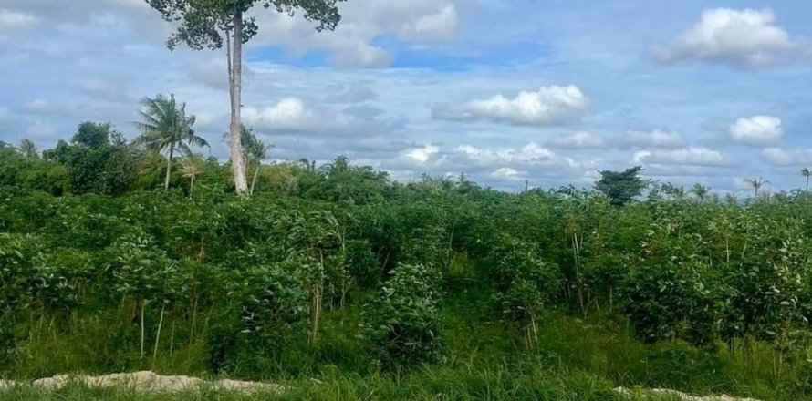 Земельный участок в Паттайе, Таиланд 12800м2  № 147494