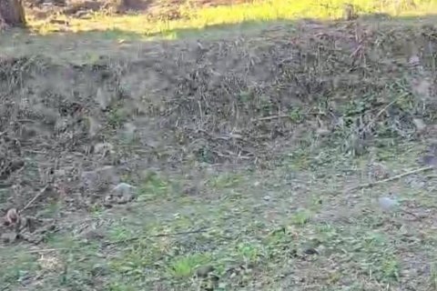 Terrain à Kathu, Thaïlande 8000 m2 № 140390 - photo 8