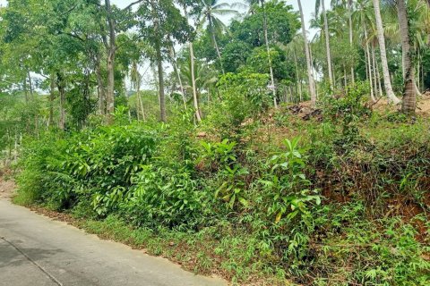 Land in Ko Samui, Thailand 10588 sq.m. № 170781 - photo 5