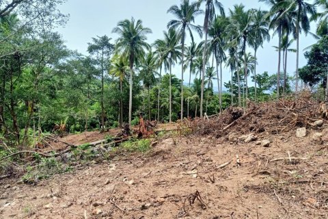 Land in Ko Samui, Thailand 10588 sq.m. № 170781