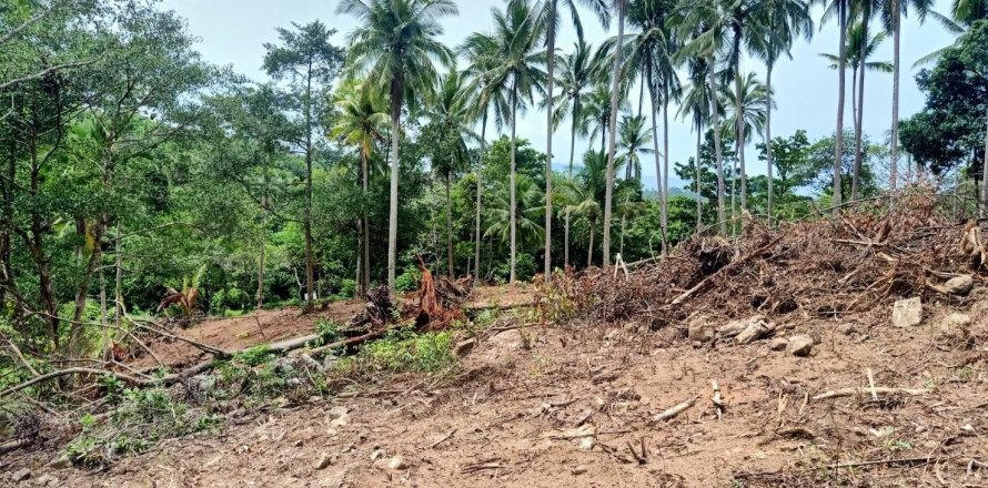 Land in Ko Samui, Thailand 10588 sq.m. № 170781