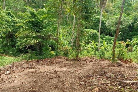 Land in Ko Samui, Thailand 10588 sq.m. № 170781 - photo 10