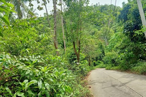 Land in Ko Samui, Thailand 10588 sq.m. № 170781 - photo 7