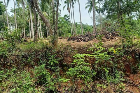 Land in Ko Samui, Thailand 10588 sq.m. № 170781 - photo 6