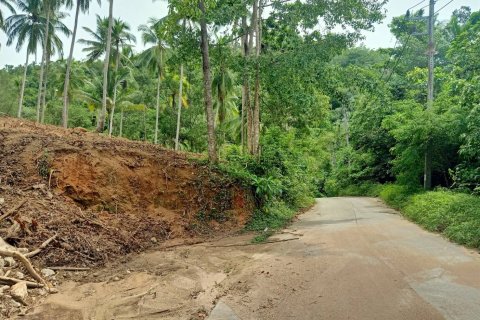 Land in Ko Samui, Thailand 10588 sq.m. № 170781 - photo 8