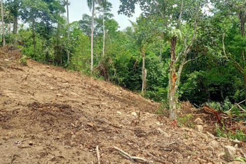 Land in Ko Samui, Thailand 10588 sq.m. № 170781 - photo 3