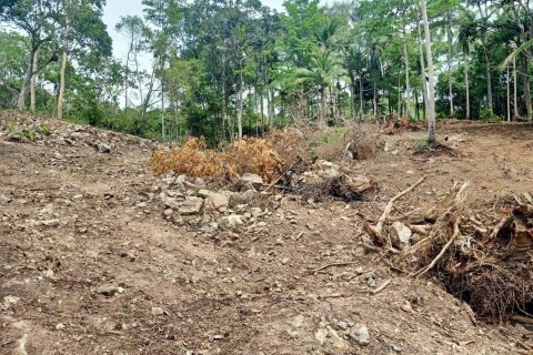 Land in Ko Samui, Thailand 10588 sq.m. № 170781 - photo 9