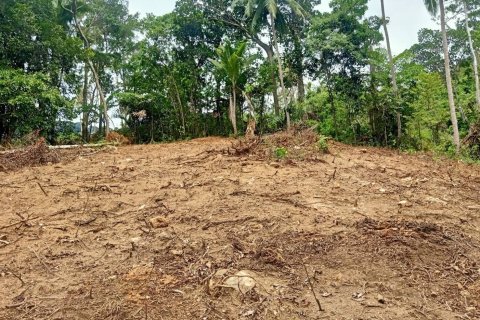 Land in Ko Samui, Thailand 10588 sq.m. № 170781 - photo 4