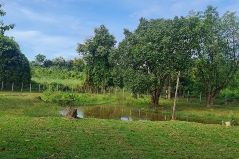 Villa à Chiang Rai, Thaïlande 3 chambres № 173558 - photo 17