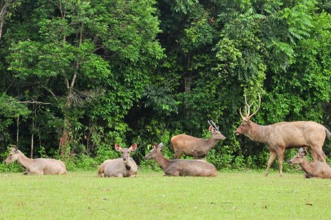 Terreno en Prachinburi, Tailandia № 233617 - foto 20