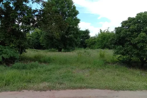 Land in Lamphun, Thailand 8832 sq.m. № 159494 - photo 10