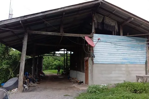 Land in Lamphun, Thailand 8832 sq.m. № 159494 - photo 5