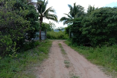 Land in Lamphun, Thailand 8832 sq.m. № 159494 - photo 9