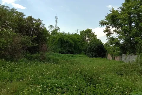 Land in Lamphun, Thailand 8832 sq.m. № 159494 - photo 8