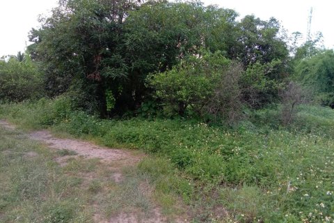 Land in Lamphun, Thailand 8832 sq.m. № 159494 - photo 6