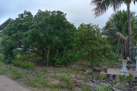 Land in Lamphun, Thailand 8832 sq.m. № 159494 - photo 11