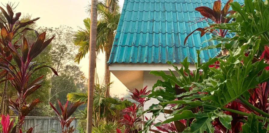 Maison à Chiang Rai, Thaïlande 3 chambres № 159493