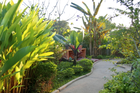 Maison à Chiang Rai, Thaïlande 3 chambres № 159493 - photo 10