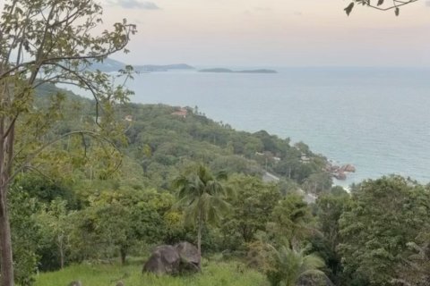 Terrain à Ko Samui, Thaïlande 16000 m2 № 161663 - photo 3