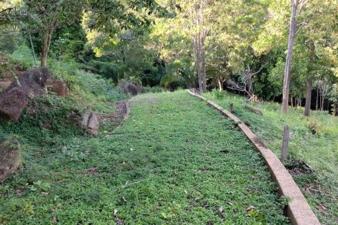 Terrain à Ko Samui, Thaïlande 16000 m2 № 161663 - photo 11