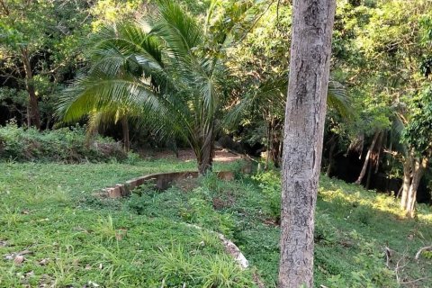 Terrain à Ko Samui, Thaïlande 16000 m2 № 161663 - photo 8