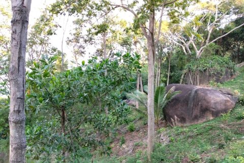 Terrain à Ko Samui, Thaïlande 16000 m2 № 161663 - photo 10