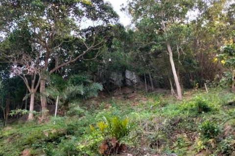 Terrain à Ko Samui, Thaïlande 16000 m2 № 161663 - photo 16