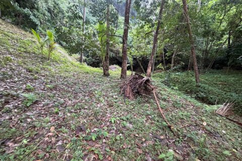 Terrain à Ko Samui, Thaïlande 16000 m2 № 161663 - photo 12