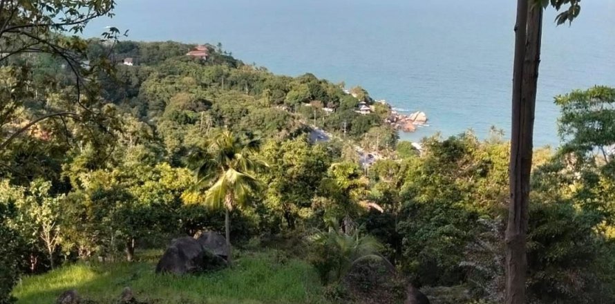 Terrain à Ko Samui, Thaïlande 16000 m2 № 161663