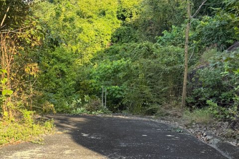 Terrain à Ko Samui, Thaïlande 16000 m2 № 161663 - photo 17