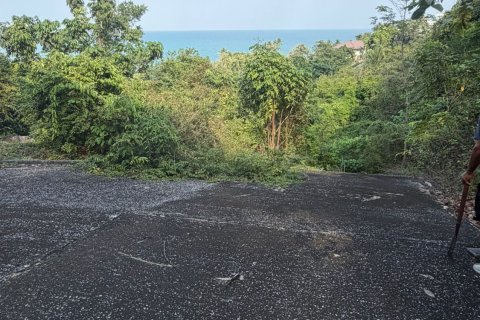 Terrain à Ko Samui, Thaïlande 16000 m2 № 161663 - photo 15