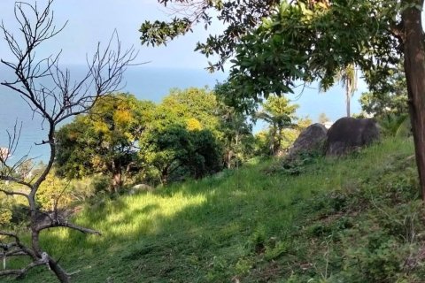 Terrain à Ko Samui, Thaïlande 16000 m2 № 161663 - photo 4