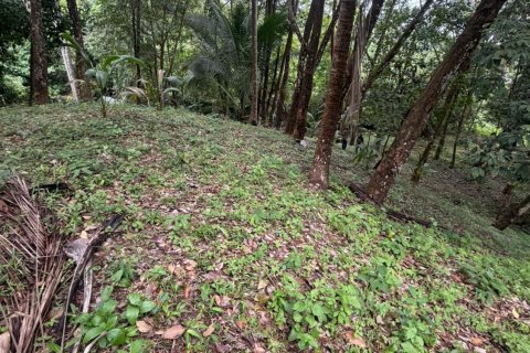 Terrain à Ko Samui, Thaïlande 16000 m2 № 161663 - photo 6