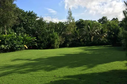 Вилла в Чианграе, Таиланд с 4 спальнями  № 159462 - фото 12