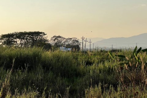 Terrain à Chiang Rai, Thaïlande № 172932 - photo 7