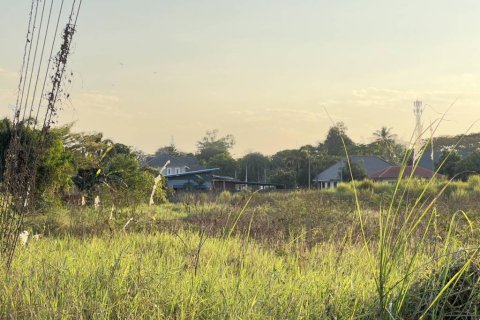 Terrain à Chiang Rai, Thaïlande № 172932 - photo 9