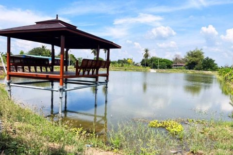 Land in Ang Thong, Thailand 116188 sq.m. № 159264 - photo 5