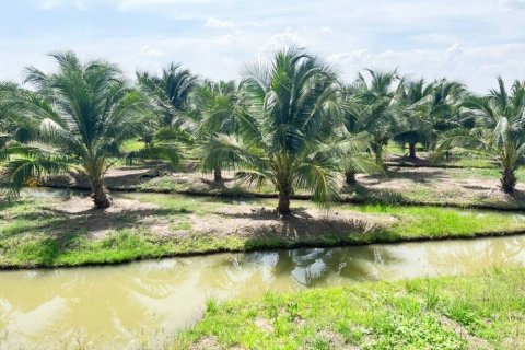 Land in Ang Thong, Thailand 116188 sq.m. № 159264 - photo 3