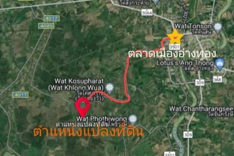 Land in Ang Thong, Thailand 116188 sq.m. № 159264 - photo 2