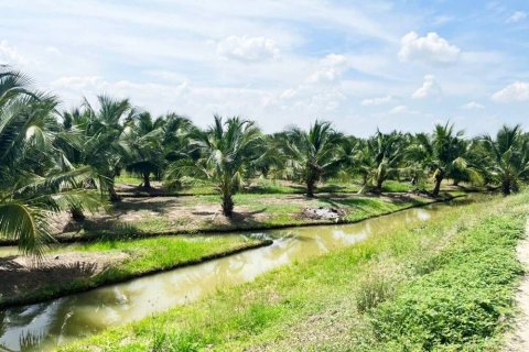 Land in Ang Thong, Thailand 116188 sq.m. № 159264 - photo 4