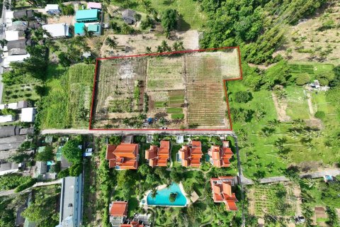 Земельный участок в Май Кхао, Таиланд 9600м2  № 138793 - фото 6