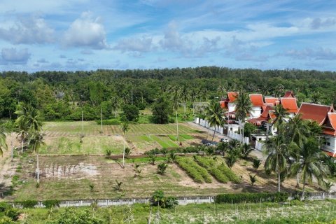 Земельный участок в Май Кхао, Таиланд 9600м2  № 138793 - фото 5