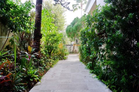 Studio sur Jomtien Beach, Pattaya, Thaïlande № 155274 - photo 8