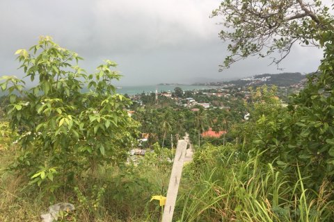 Land in Ko Samui, Thailand 1600 sq.m. № 173256 - photo 5