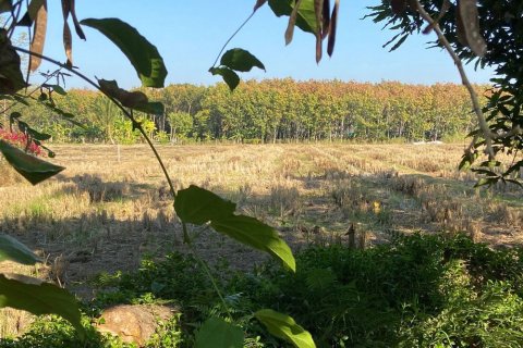 Земельный участок в Чиангмае, Таиланд  № 162523