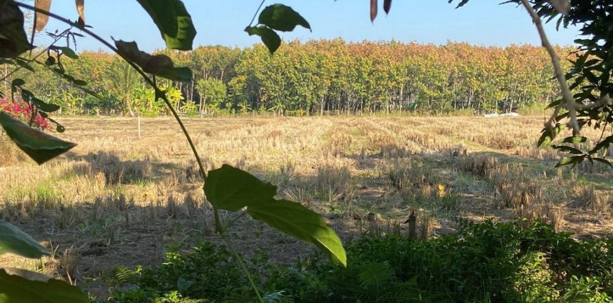 Земельный участок в Чиангмае, Таиланд № 162523