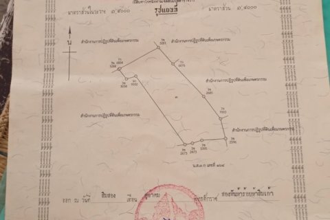 Земельный участок в Накхонратчасиме, Таиланд 40000м2  № 158583 - фото 3